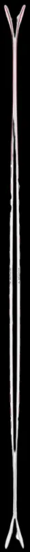 Black Crows Camox JR Ski